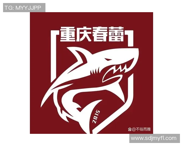 创意无限的业余足球队名称推荐让你的球队更具魅力与个性